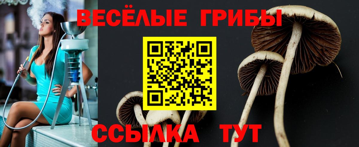 Галлюциногенные грибы мицелий  Галлюциногенные грибы Psilocybe  Красноармейск  Вход с VPN 